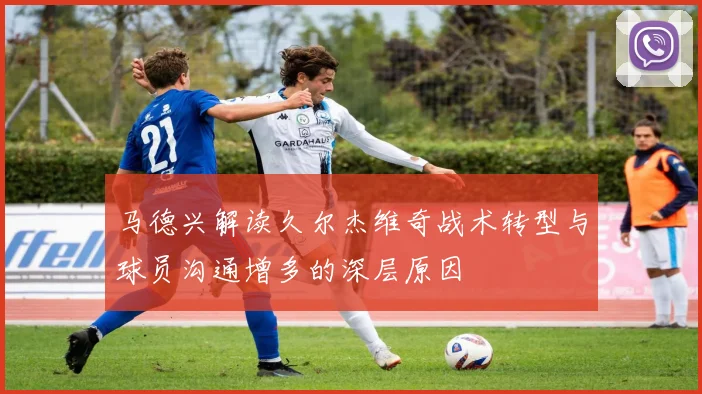 马德兴解读久尔杰维奇战术转型与球员沟通增多的深层原因