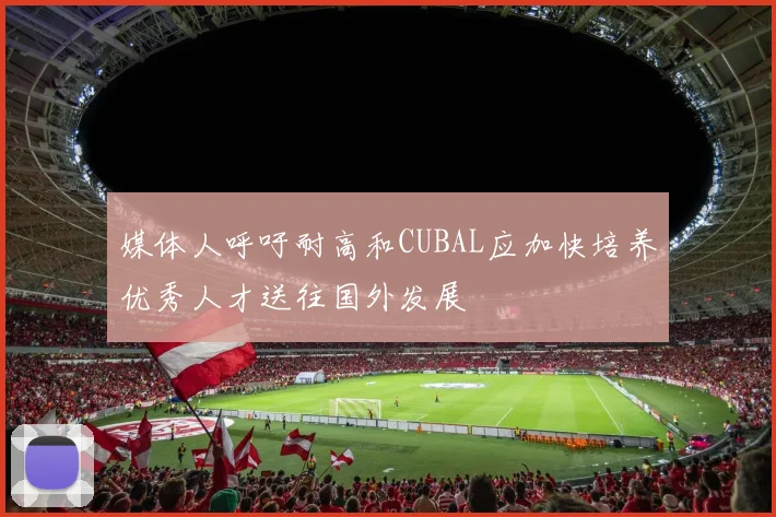 媒体人呼吁耐高和CUBAL应加快培养优秀人才送往国外发展
